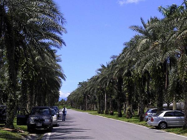 2011-06-19 10.29.03.jpg