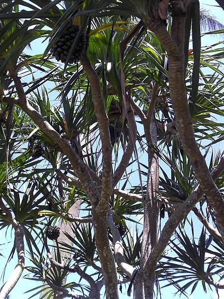 2011-06-19 10.42.58.jpg
