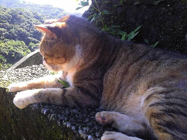 2011-11-05 11.55.40.jpg