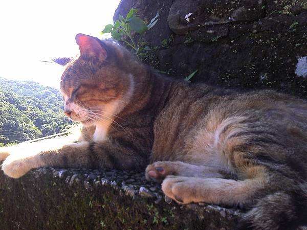 2011-11-05 11.55.26.jpg