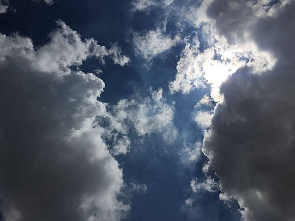50402034-1509-4F86-974E-A9E35EBE3983.jpeg