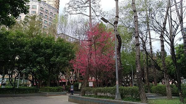 P_20180302_075908_vHDR_Auto.jpg