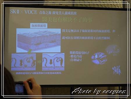 P1450377P41.jpg
