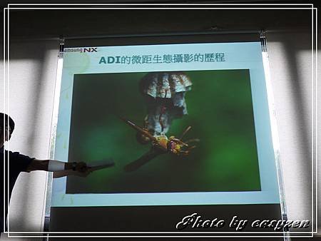 P1490396P33.jpg