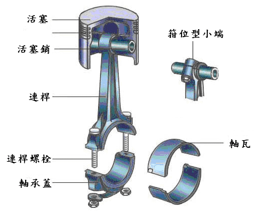 圖片11