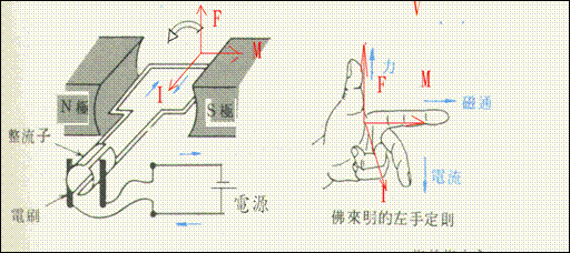 圖片7