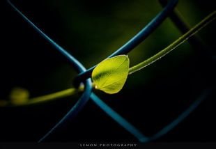 4b90f603738da97731e14ea6b251f8198718e375