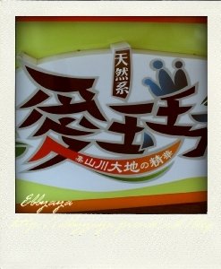 IMG_5563-pola