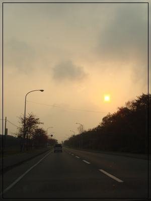 DSC03704.JPG
