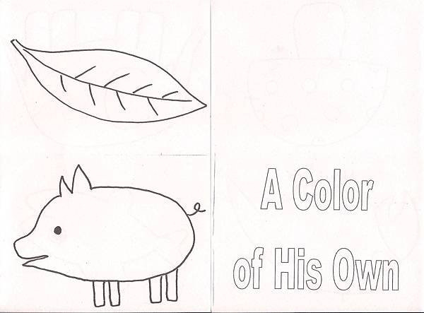 Mini-book: A Color of His Own