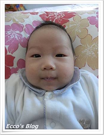 aaron04