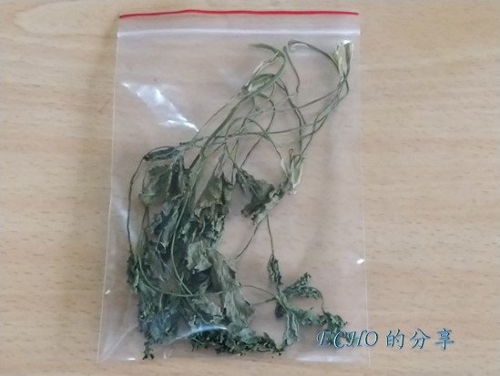 香菜的保存方法-03.jpg