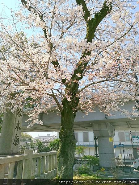 IMG_20170404_102346.jpg