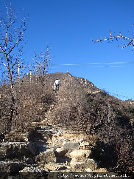 IMG_9548.JPG