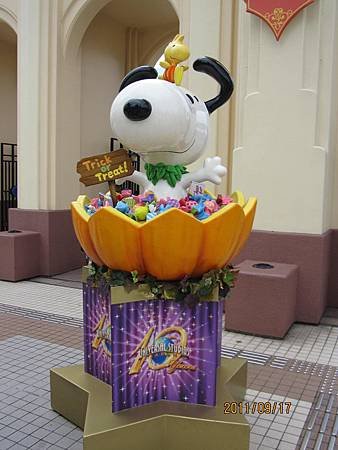 IMG_7629.JPG