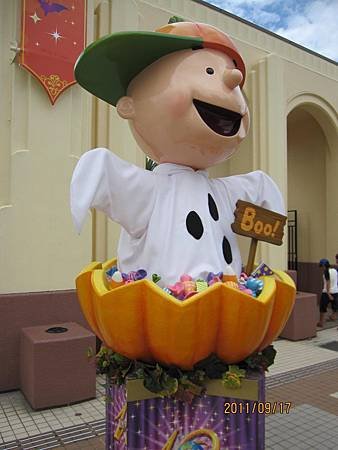 IMG_7631.JPG