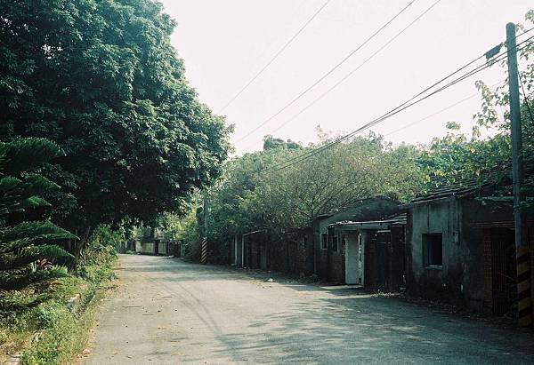 F1000012a.JPG