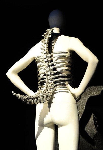 Alexander+McQueen+Savage+Beauty+Costume+Institute+RaaaexU5L1Ol.jpg