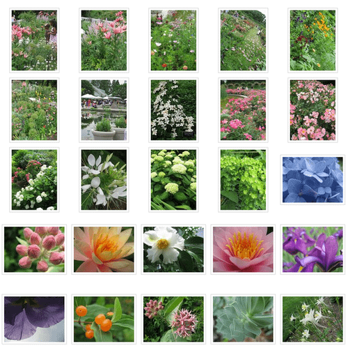 Picture 2.png