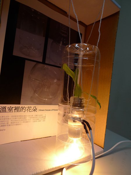 P1110022.JPG