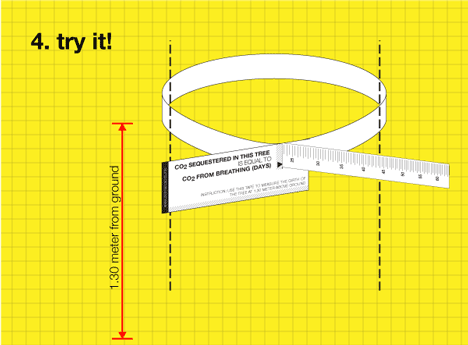 dzn_Tree-Tape-by-Nitipak-Samsen-10.gif