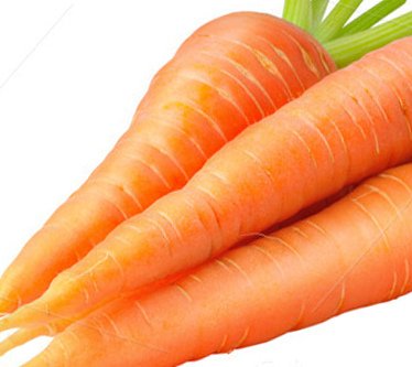 carrot