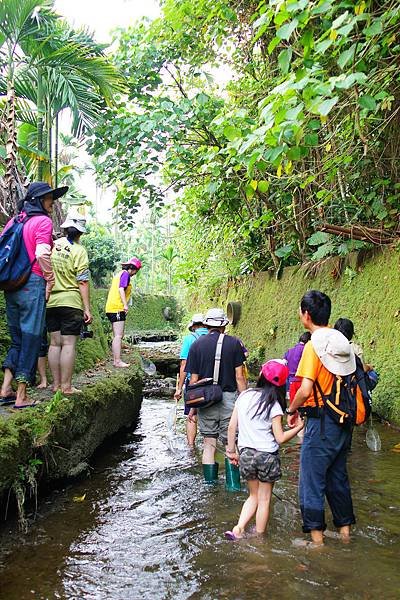 五溝水 - 千里步道生態觀察-35