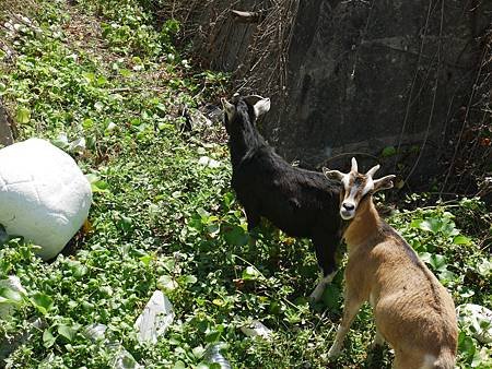IMG_7403.JPG