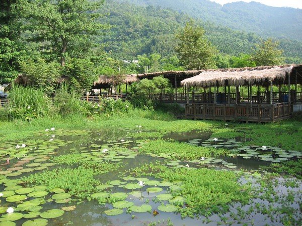 07馬太鞍溼地-生態旅遊協會提供.JPG