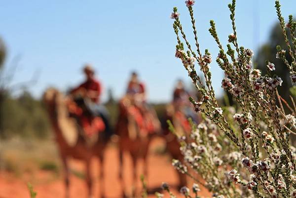 Uluru Photography 009