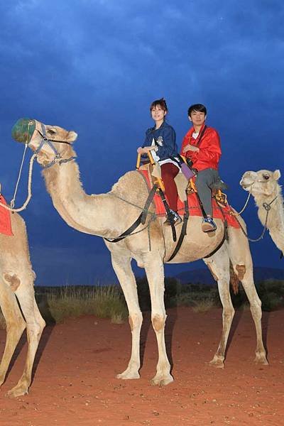 Uluru Camel Tour 058-1024