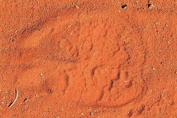 Uluru Photography 003