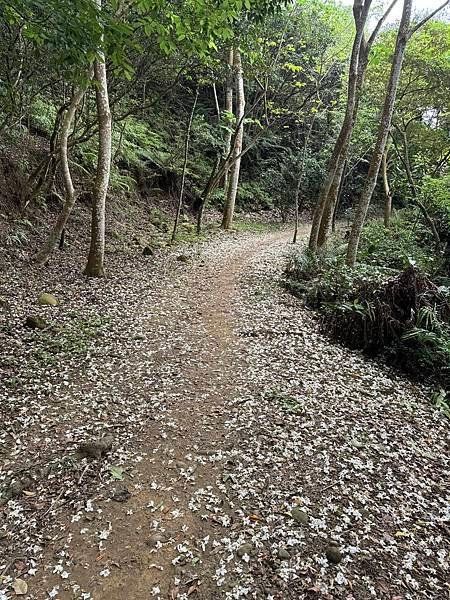 福頭山太極宮步道