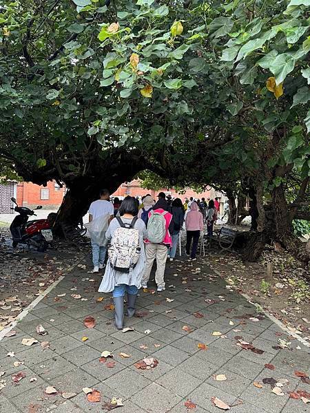 草漯沙丘地質公園