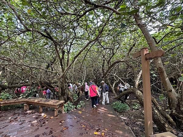 草漯沙丘地質公園