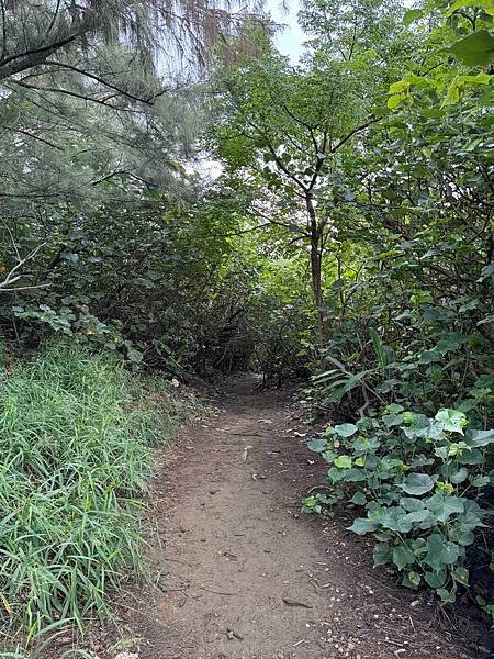 草漯沙丘地質公園