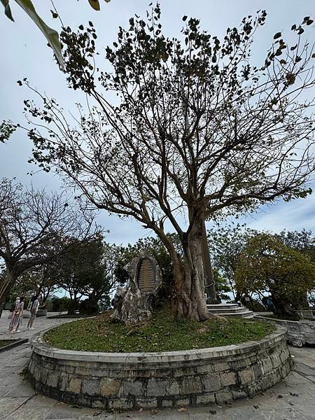 越南硯港山茶半島-靈應寺