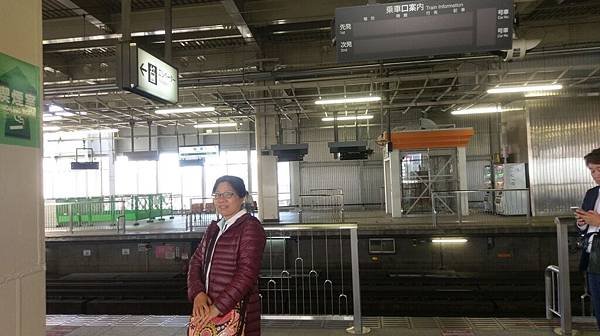 IMAG1029-1.jpg
