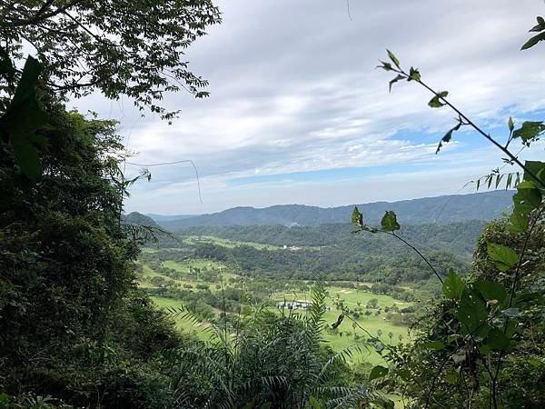 IMG_0601.JPEG