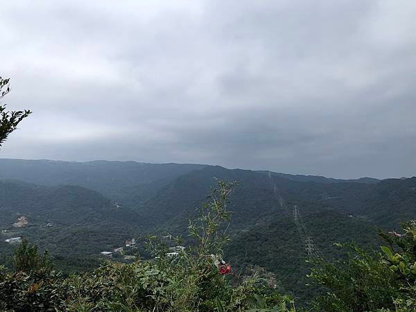IMG_3612.JPEG