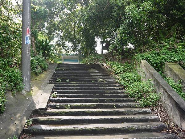 P1030404-