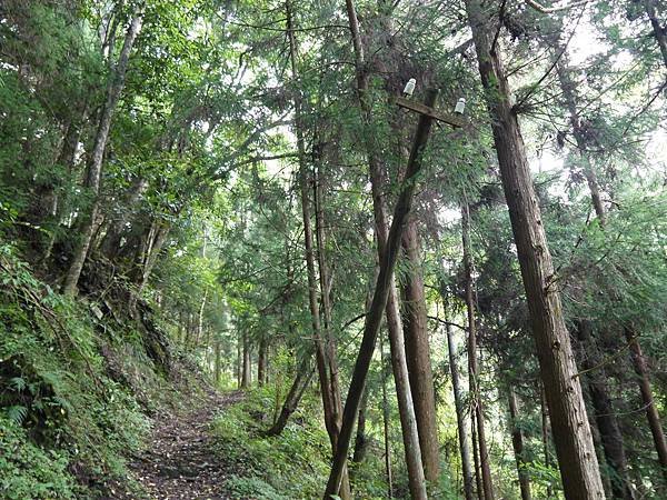 P1060353-