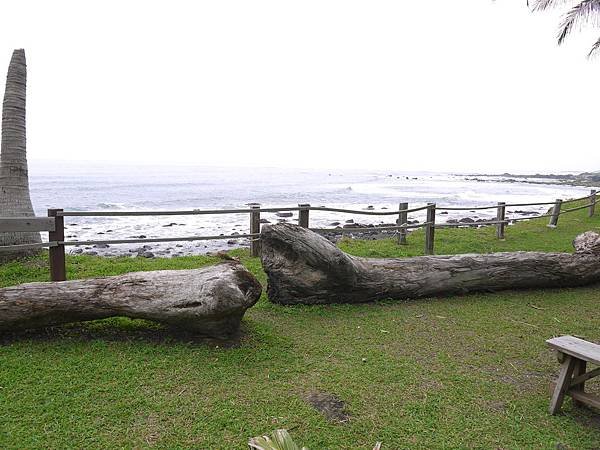 P1030047-