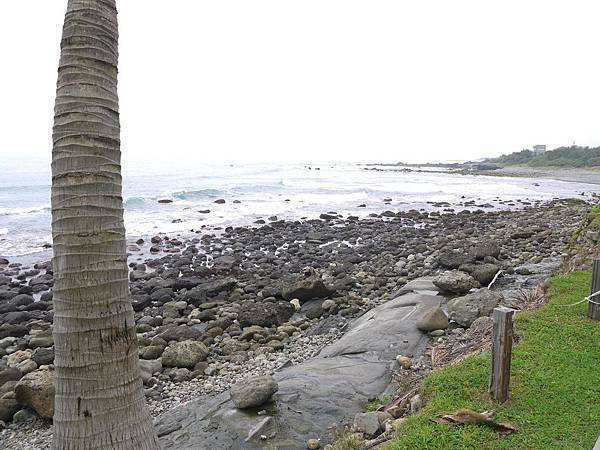 P1030049-