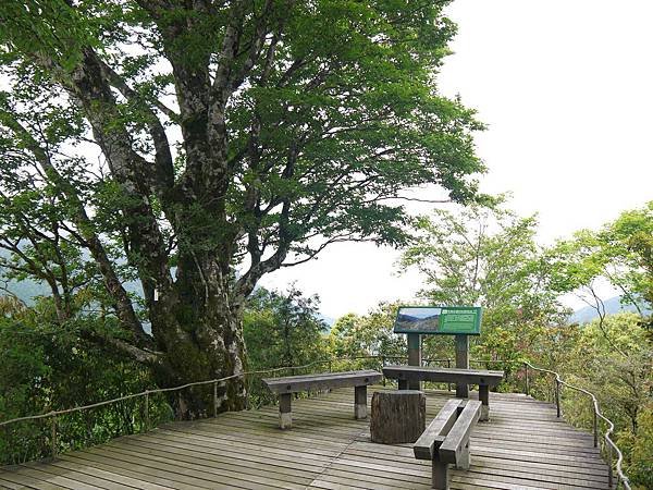 P1050027-