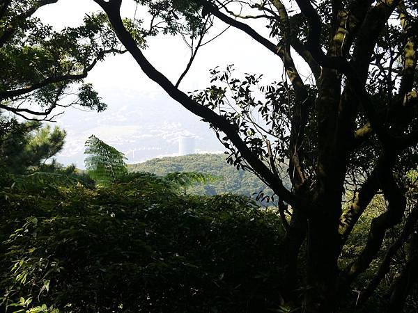 P1100454-