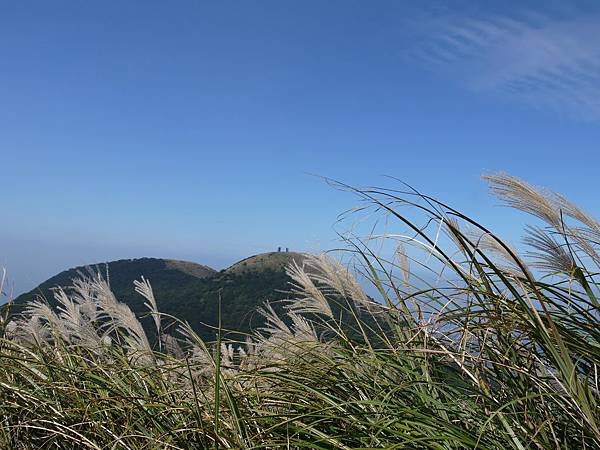 P1100487-