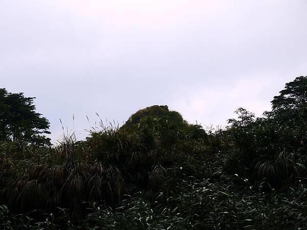 P1160940-