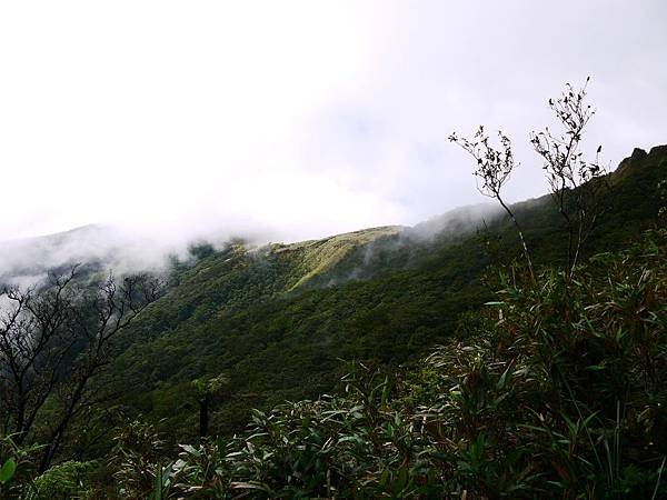P1170177-