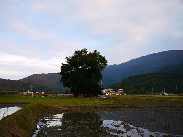 P1170623-